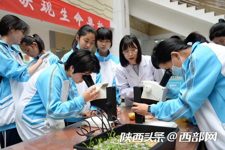阿卜杜拉國王大學_阿卜杜拉國王大學排名_國王科技大學阿卜杜拉官網