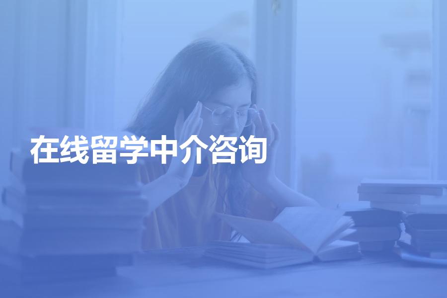 德國(guó)留學(xué)咨詢服務(wù)_德國(guó)留學(xué)在線咨詢_德國(guó)留學(xué)咨詢