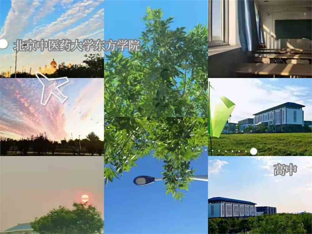 北京中國醫藥大學東方學院_北京中醫藥大學東方學院_北京中醫藥大學東方學院