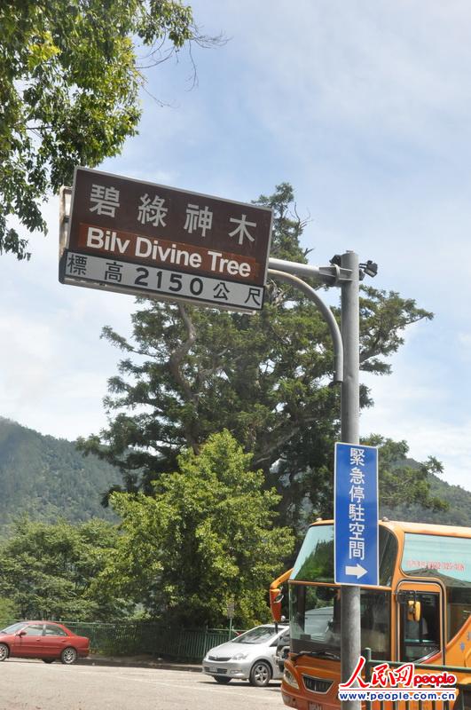 馬來西亞購物攻略必買清單_馬來西亞買什么最劃算_馬來西亞購物買什么比較好
