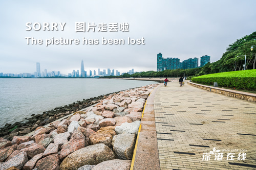 深圳薈同小學多少學費_深圳薈同學校_深圳薈同學校收費標準