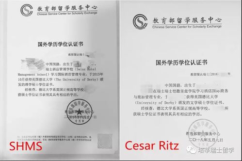 留學生免稅車購買_留學買車免稅車型_留學購買免稅車