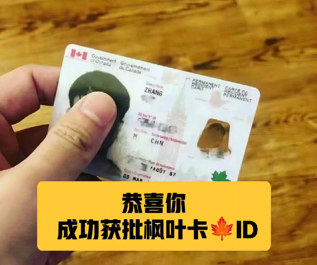 楓葉卡是哪個(gè)國家的_楓葉卡是什么_什么是楓葉卡