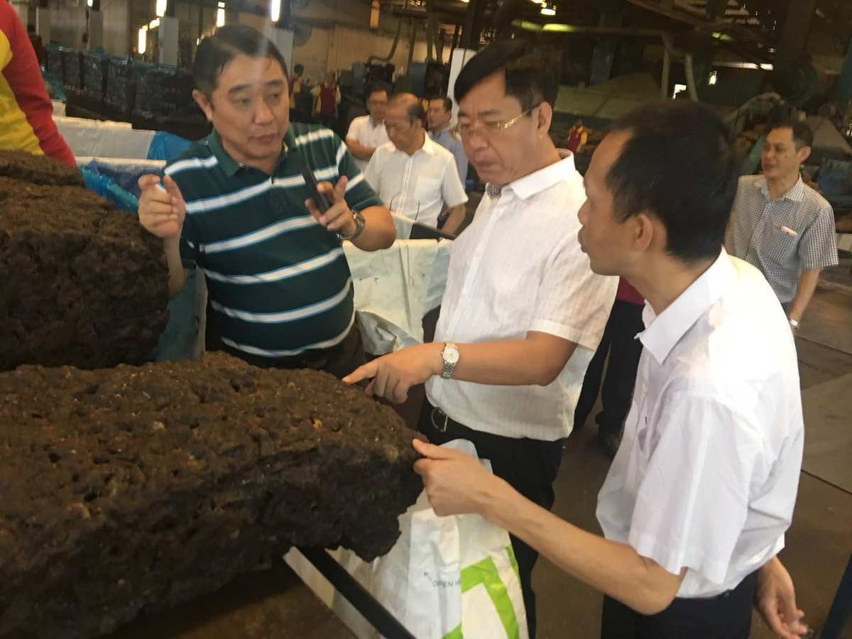 李前霈_李前偉事件來龍去脈_李光前()