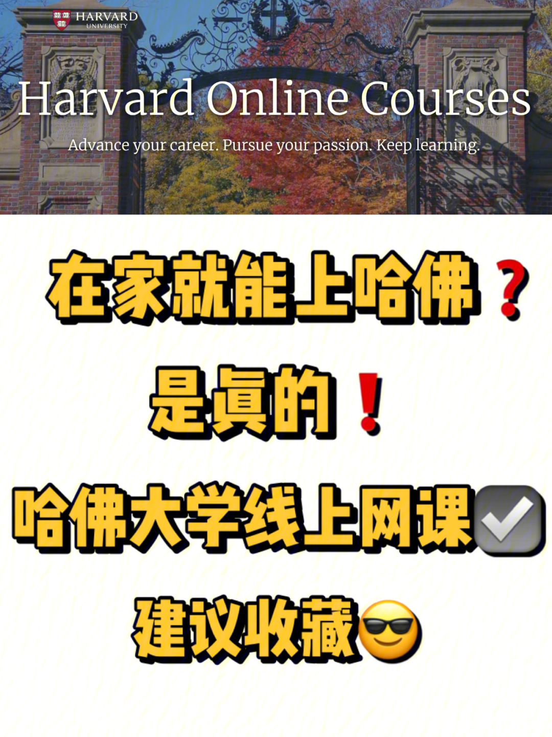 耶魯大學神奇圖片原理_耶魯大學神奇圖片_耶魯大學的傳說