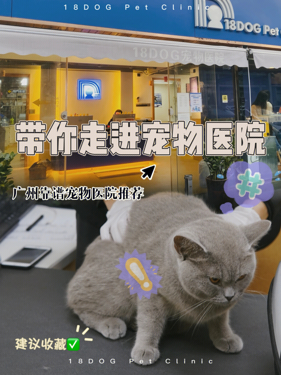 寵物咨詢在線咨詢平臺_咨詢寵物在線平臺電話_咨詢寵物在線平臺有哪些