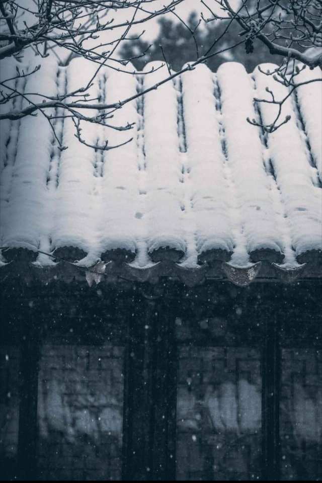 當(dāng)代愛情劉雪劉成免費(fèi)閱讀_當(dāng)代愛情劉雪劉成免費(fèi)閱讀_當(dāng)代愛情劉雪劉成免費(fèi)閱讀