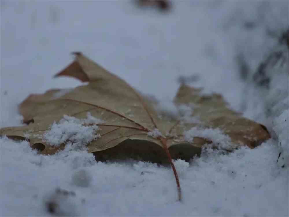 當(dāng)代愛情劉雪劉成免費(fèi)閱讀_當(dāng)代愛情劉雪劉成免費(fèi)閱讀_當(dāng)代愛情劉雪劉成免費(fèi)閱讀