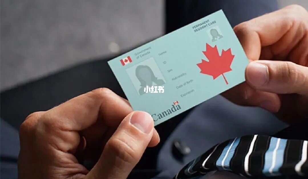 楓葉卡是永久的嗎_楓葉卡是什么_什么是楓葉卡