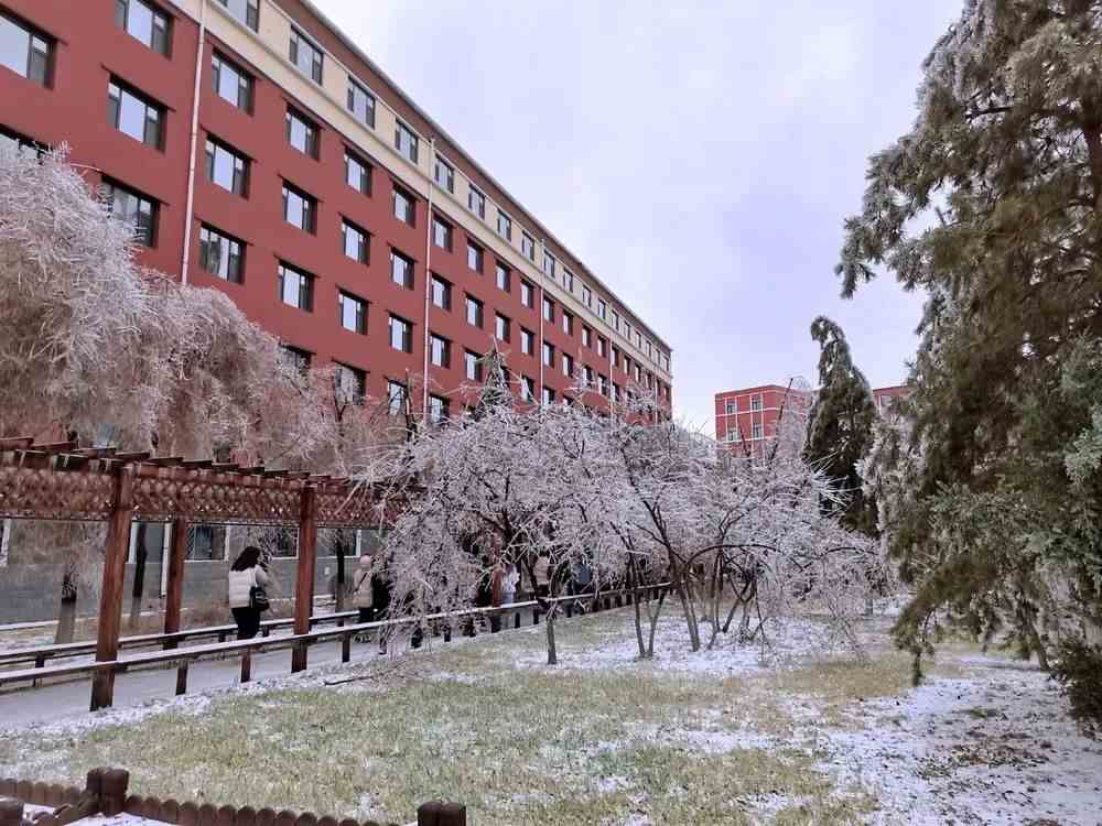 美因茨大學相當于中國_美因茨大學_美因茨的大學