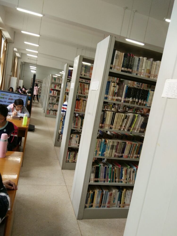哈佛大學的凌晨四點_哈佛大學凌晨四點半的景象_哈佛大學凌晨4點半的景象