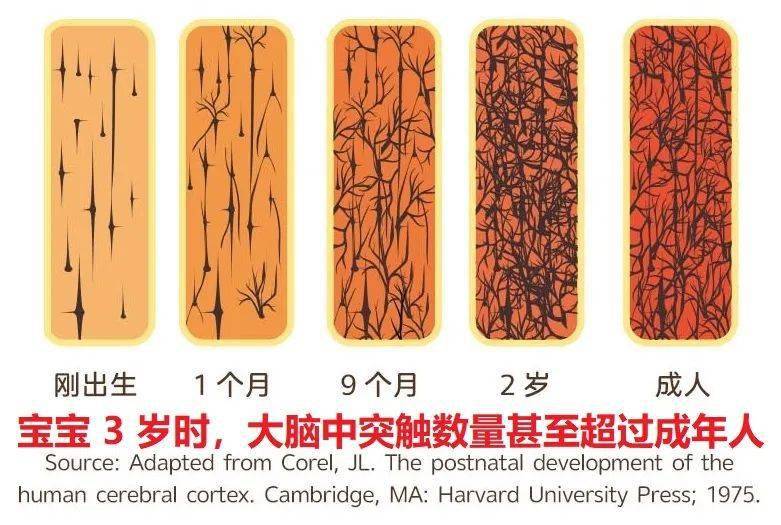 感覺統(tǒng)一訓(xùn)練_什么是感覺統(tǒng)合訓(xùn)練_統(tǒng)覺訓(xùn)練怎么訓(xùn)練