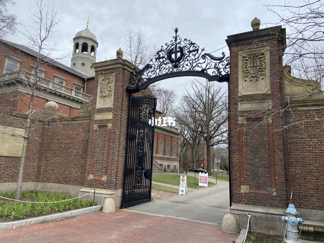 布朗大學美國排名_美國 大學 排名_美國新罕布什爾大學美國排名
