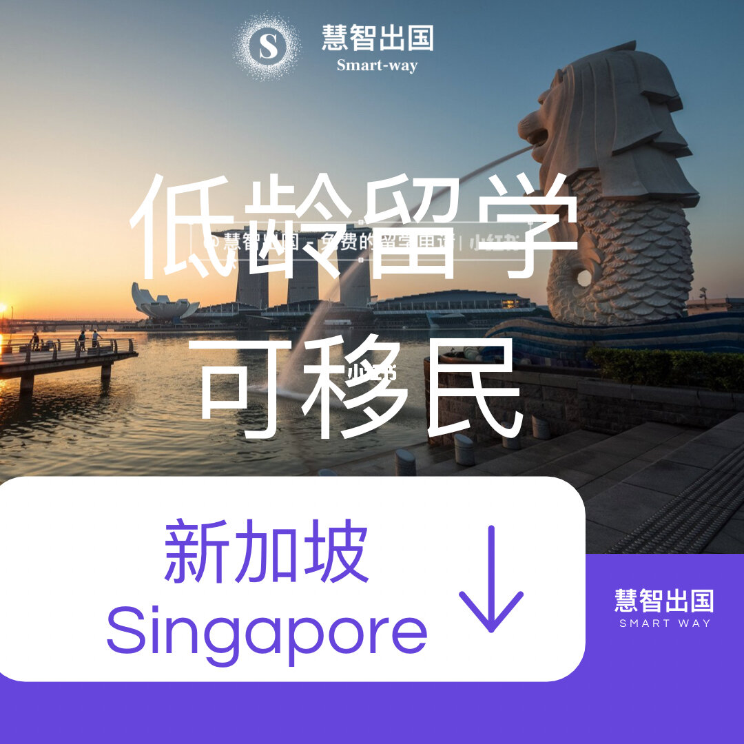 享受免稅政策_脫貧可以享受哪些政策_新加坡留學享受哪些政策