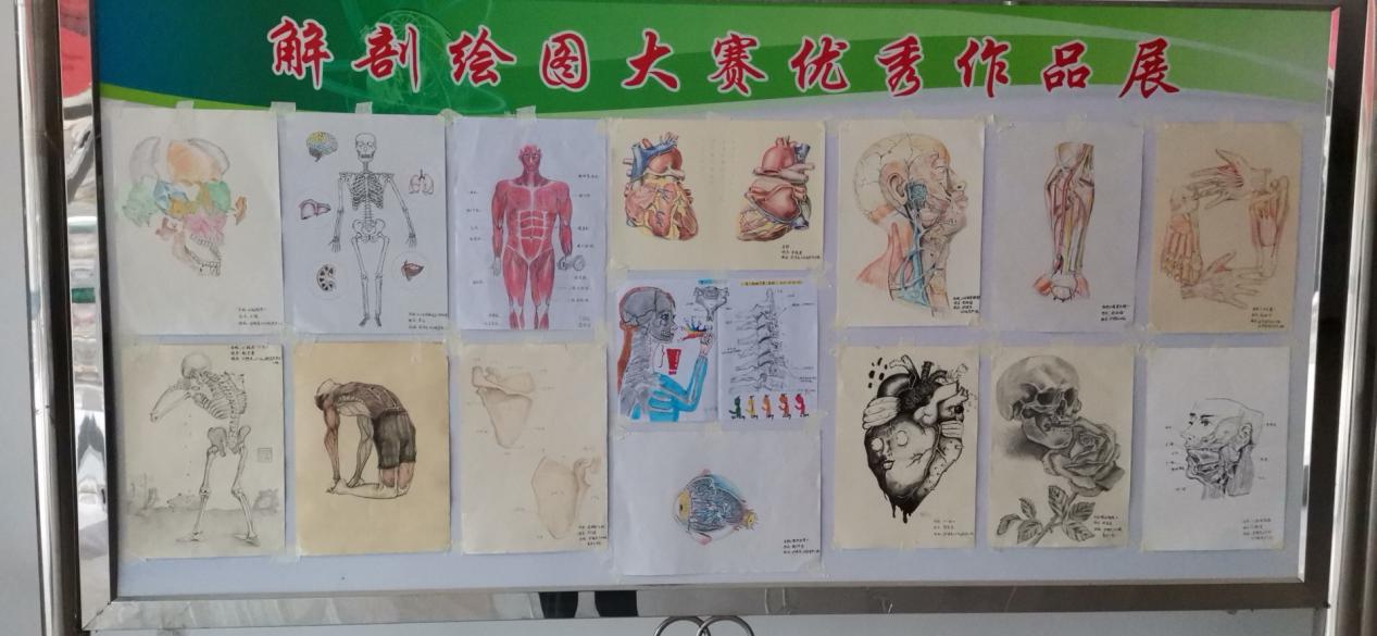 浙江萬里學(xué)院怎么樣_浙江科技學(xué)院和同濟(jì)大學(xué)浙江學(xué)院_長(zhǎng)安大學(xué)興華學(xué)院畢業(yè)證樣證