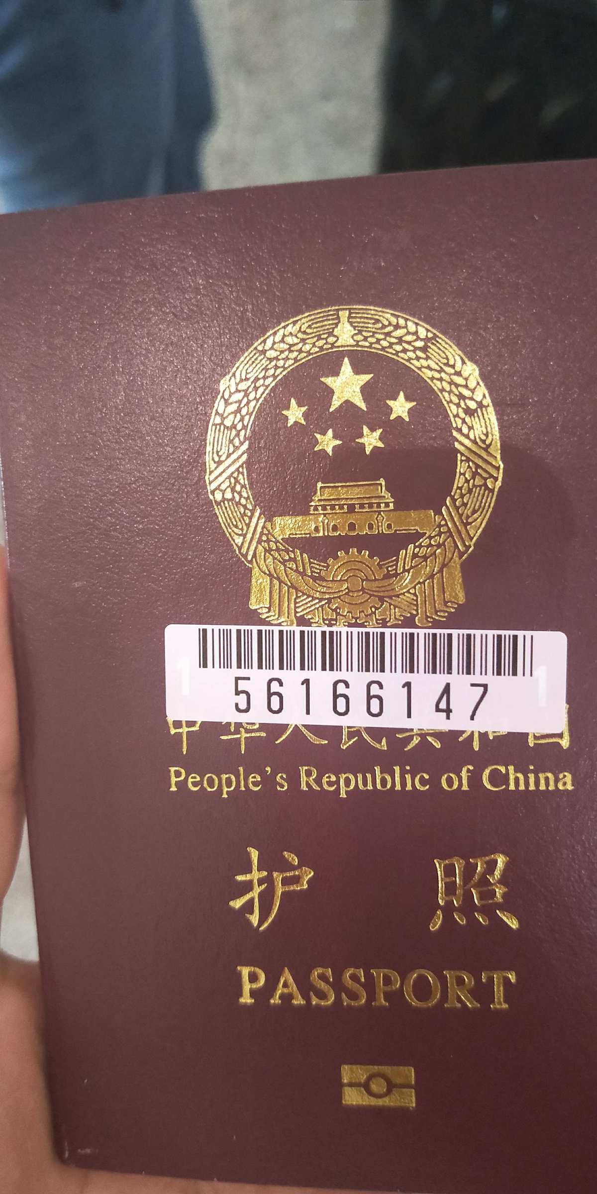 高中生去新西蘭留學(xué)_新西蘭高中留學(xué)托福_新西蘭高中留學(xué)陪讀