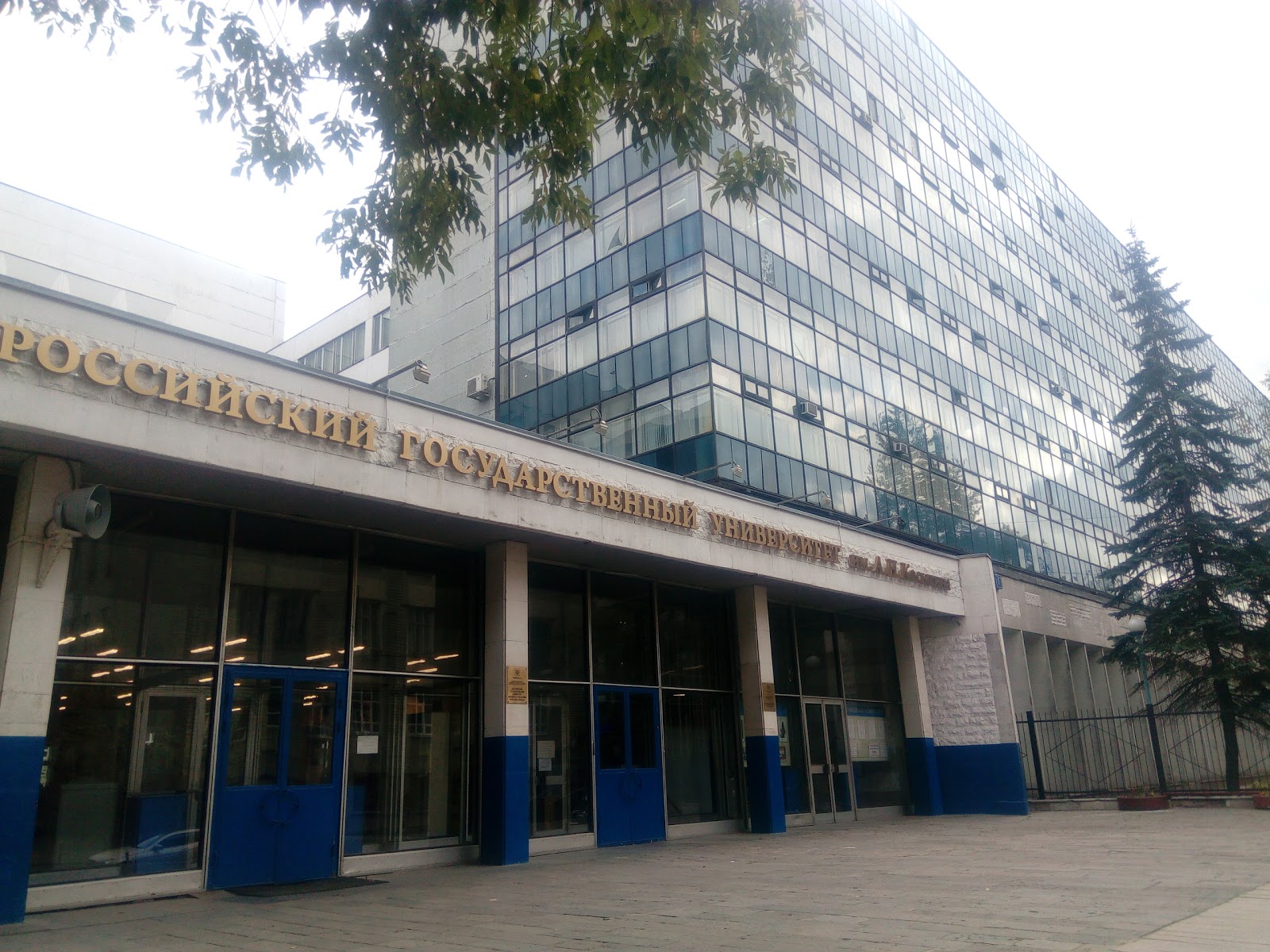 澳洲法學國際生申請_國際生申請港大的經歷_香港大學法學研究生申請條件