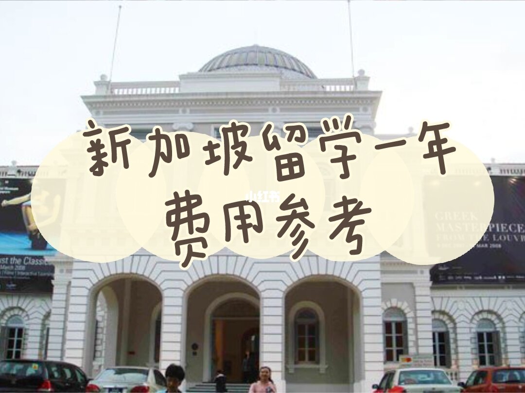 新加坡 國立 美術(shù)館_新加坡國立大學學費_基輔國立大學預科學費