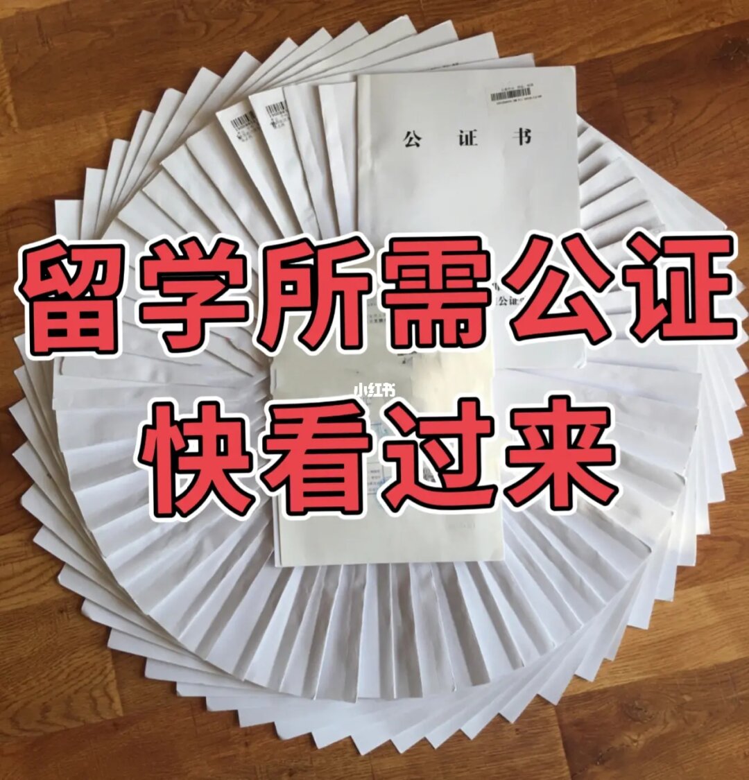 自己申請出國留學_本科生什么時候申請申請留學_留學出國條件