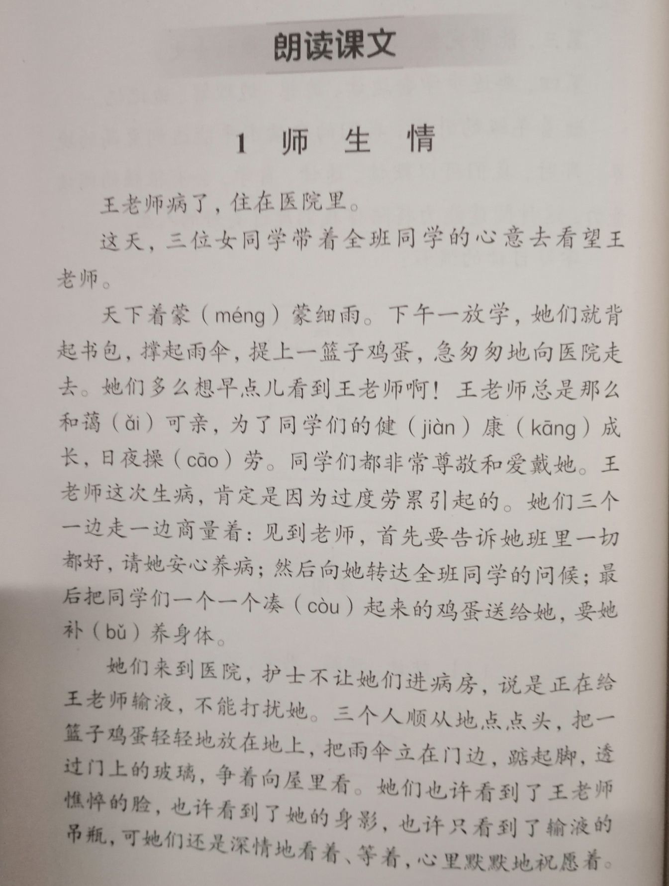 植物媽媽傳播種子的方法_植物媽媽傳播種子仿寫_植物媽媽傳播種子方法
