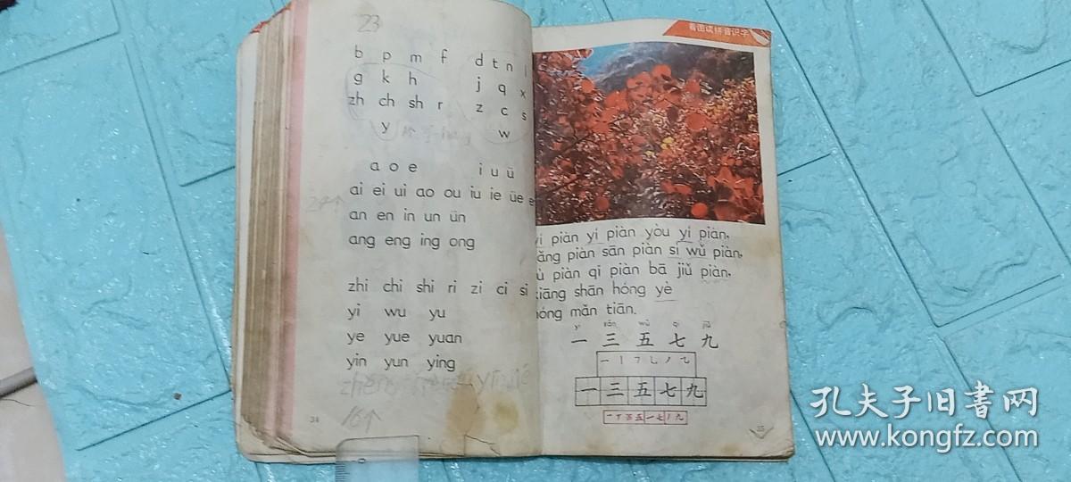 植物媽媽傳播種子的方法_植物媽媽傳播種子仿寫_植物媽媽傳播種子方法