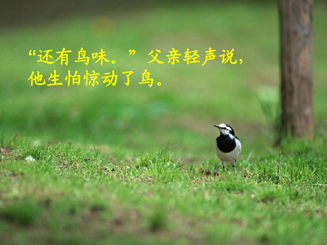 植物媽媽有辦法仿寫_植物媽媽傳播種子仿寫_植物媽媽傳播種子方法