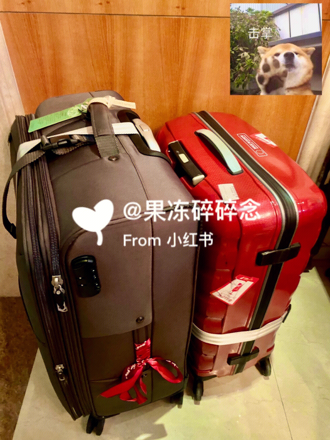 周歲抓周物品寓意清單_新加坡留學物品清單_留學帶的物品