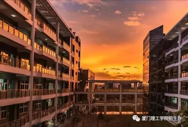 廈門大學嘉庚學院最低分數線_廈門大學嘉庚學院分數線是多少_廈門大學嘉庚學院分數線