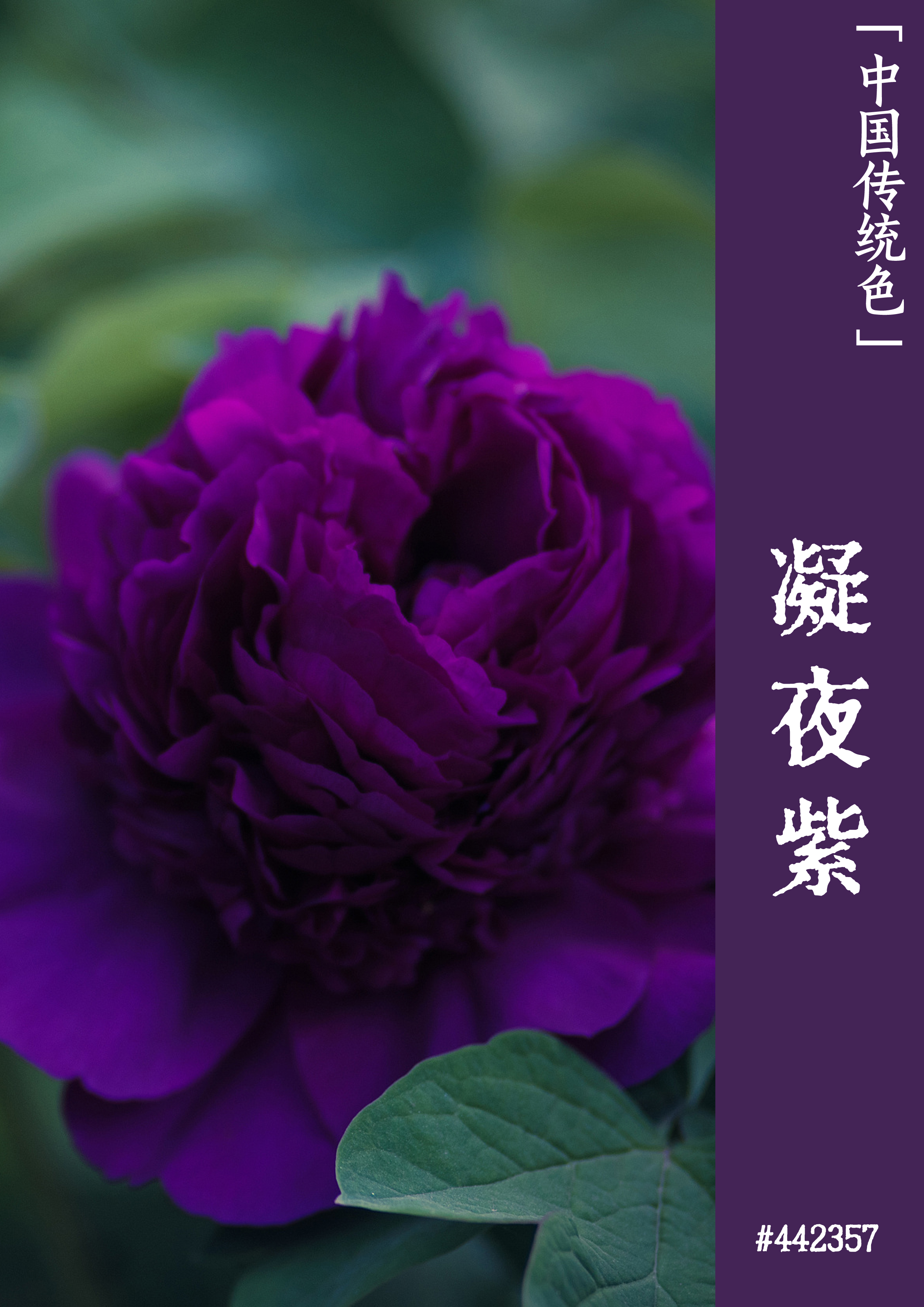 山東省專科分數線_山東專科線分數2021_專科分數山東省線是多少