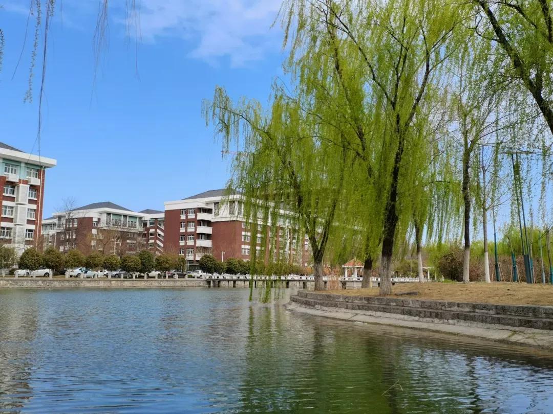 安徽財經大學高考錄取分數_2024年安徽財經大學成教院錄取分數線（2024各省份錄取分數線及位次排名）_安徽財經大學各省錄取分數線
