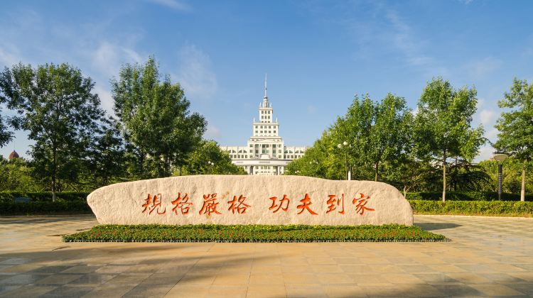 大學錄取分數線各省排名_錄取分數高校排名_2024年魯東大學錄取錄取分數線（2024各省份錄取分數線及位次排名）