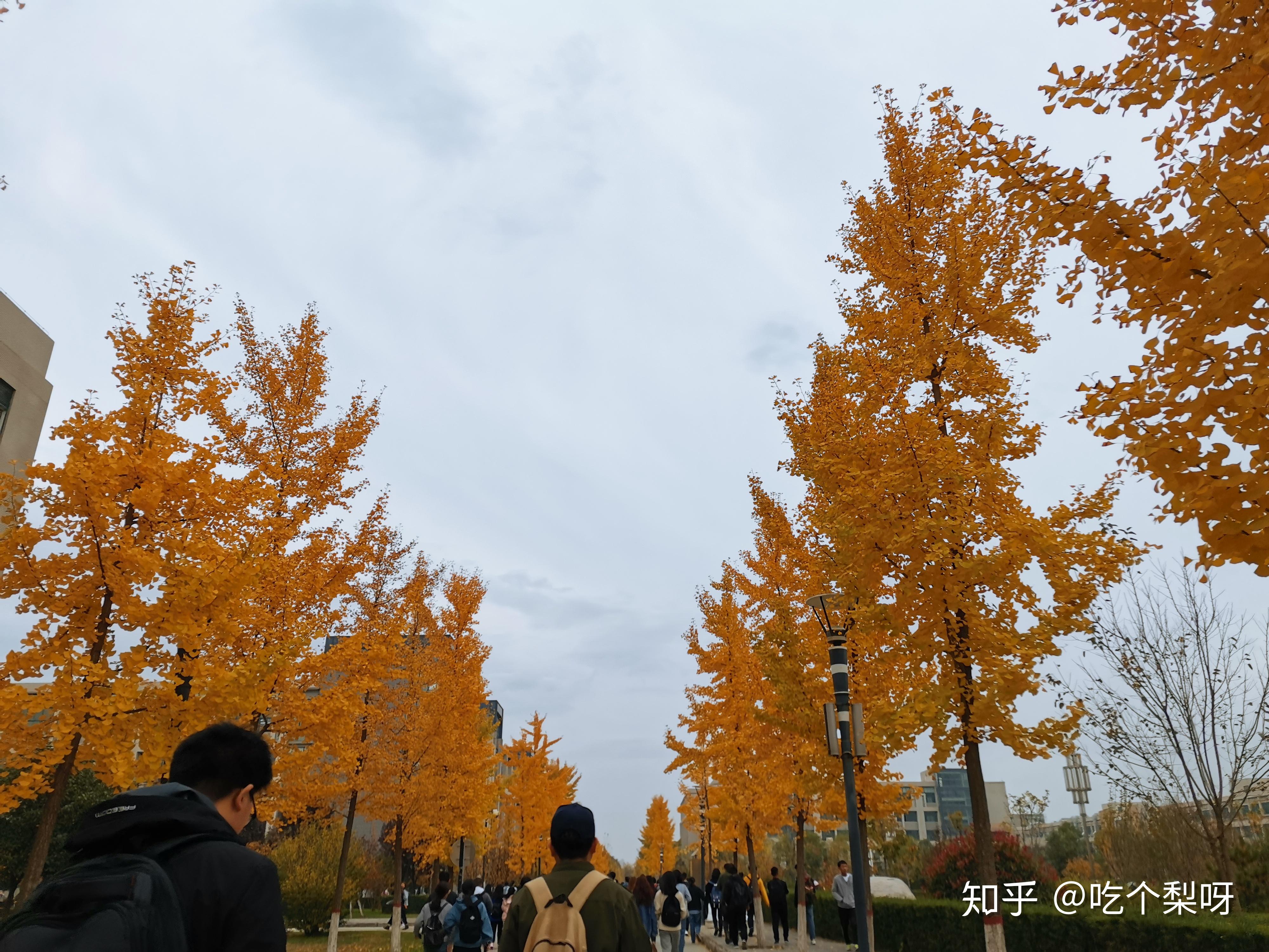 西安石油大學改名為陜西大學_西安石油大學是幾本_西安石油大學是本一嗎