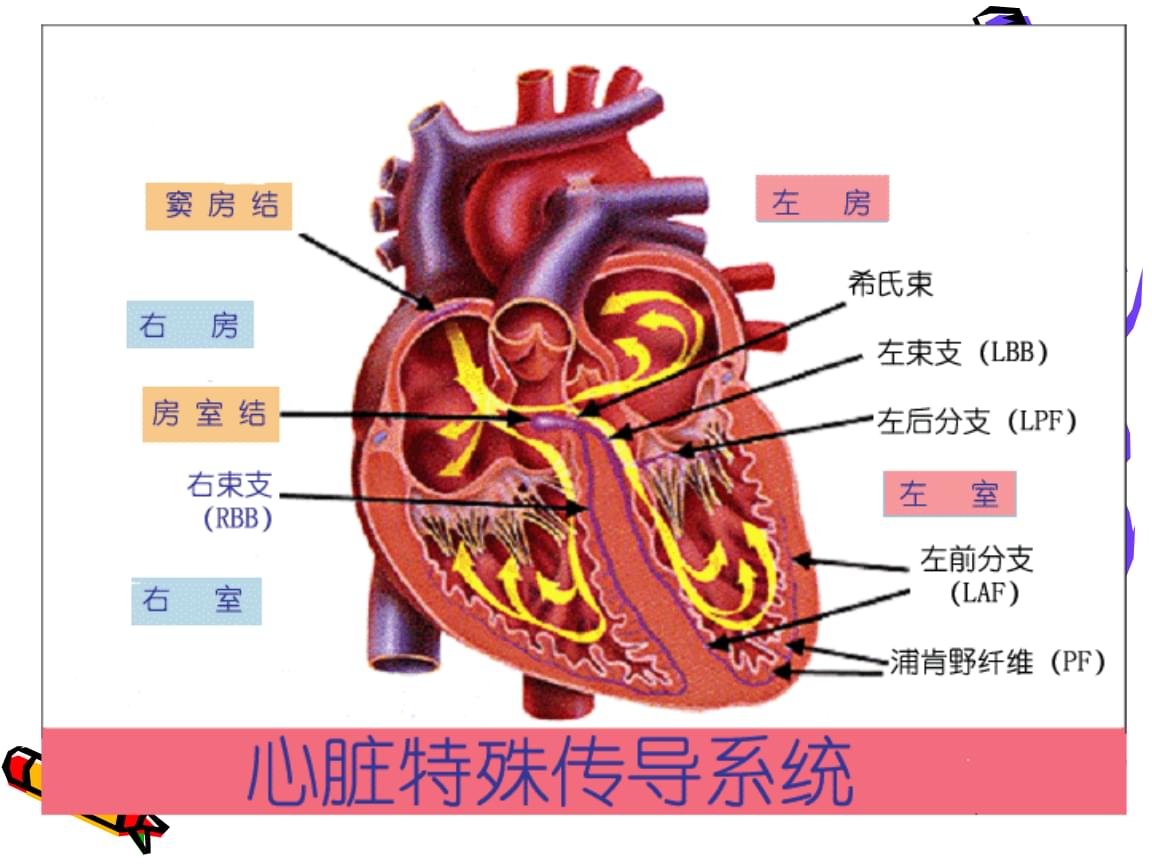 _英文單詞意思是_單詞是什么意思中文翻譯