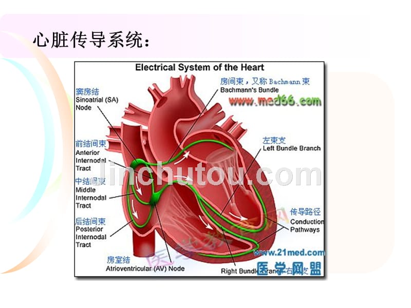 _英文單詞意思是_單詞是什么意思中文翻譯
