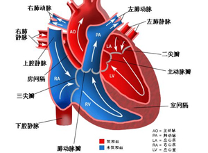 單詞是什么意思中文翻譯__英文單詞意思是