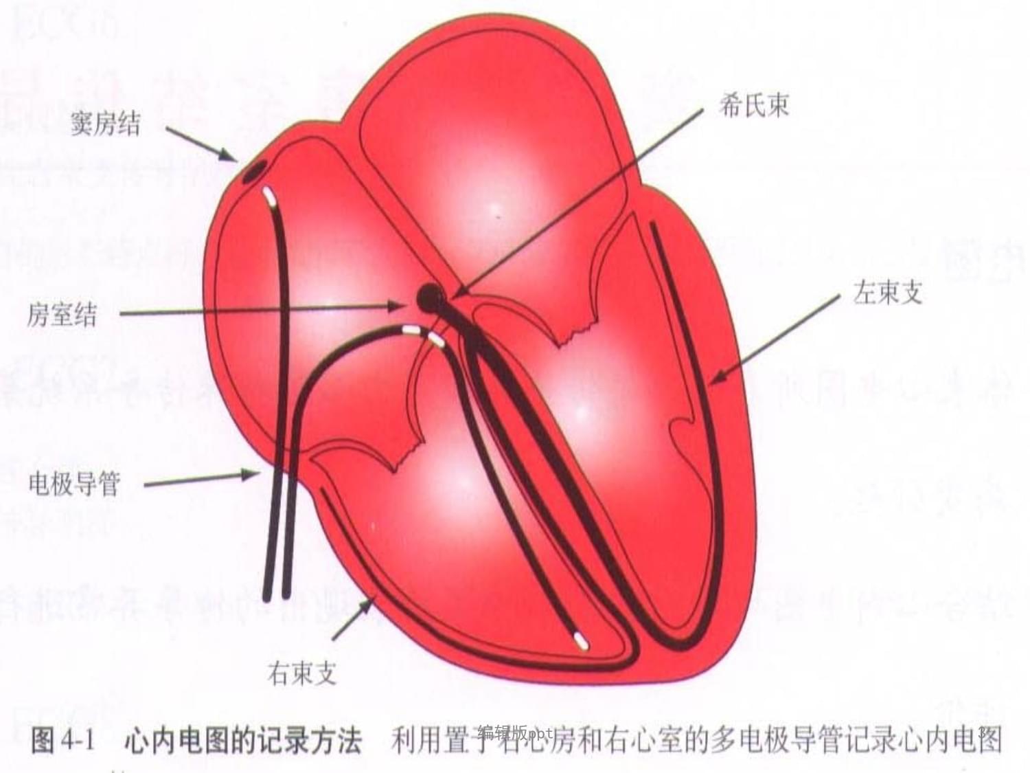 單詞是什么意思中文翻譯__英文單詞意思是