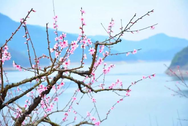 郴讀什么_郴怎么讀拼音_郴江幸自繞郴山怎么讀