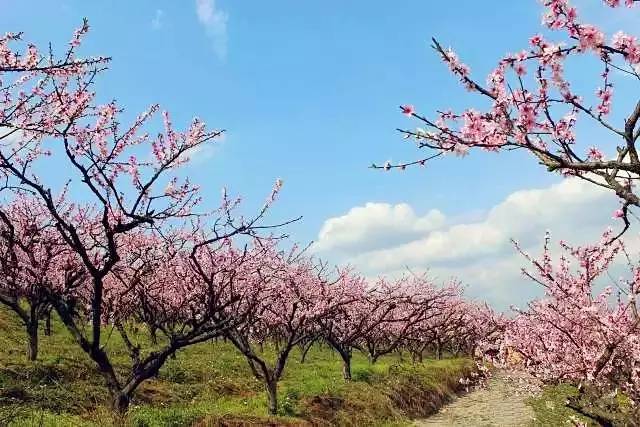 郴怎么讀拼音_郴讀什么_郴江幸自繞郴山怎么讀