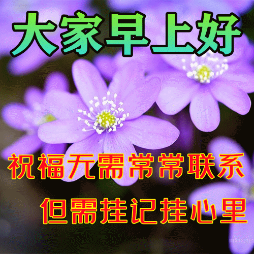 投石問路是什么意思_投石問路的下一句_意思問路投石是成語嗎