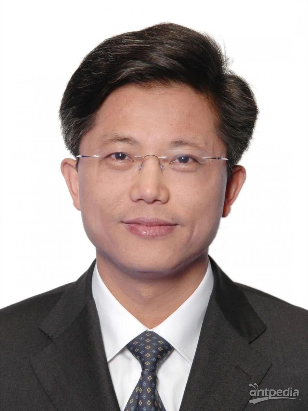 埃米爾是個什么職務_埃米爾的意思_埃米爾是什么意思?
