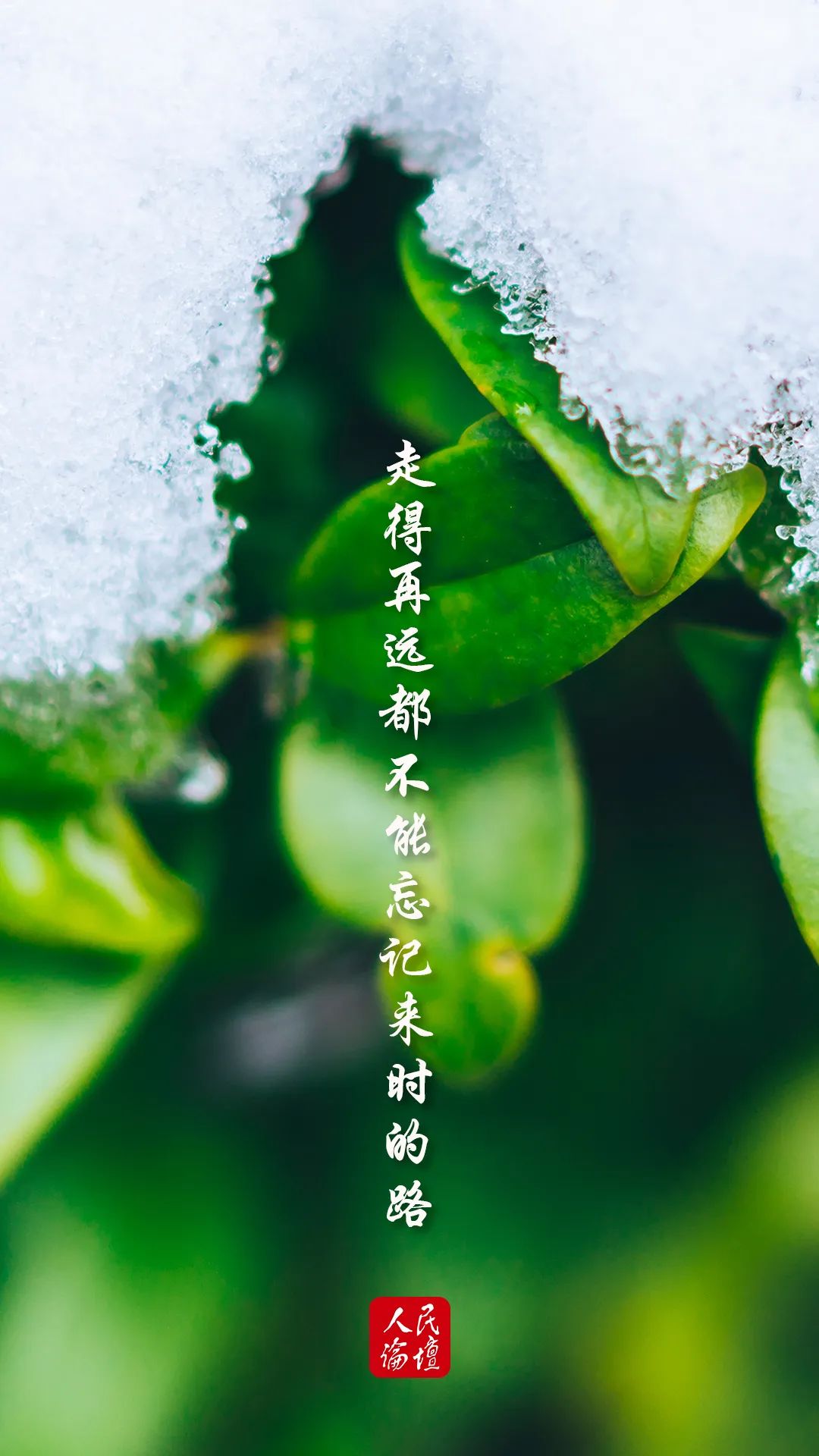 dynamic是什么意思_意思是什么_意思是誰(shuí)發(fā)現(xiàn)的