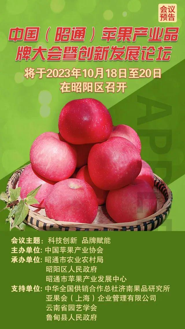 ipod廣告歌_力波啤酒廣告歌_我要o泡廣告歌