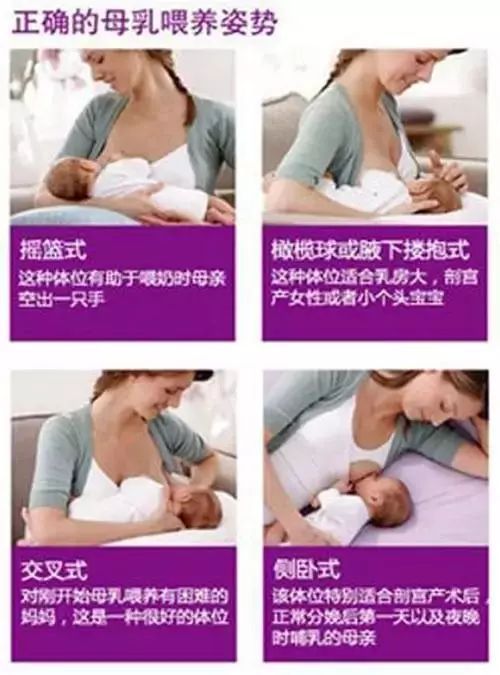 巴西貘的顏色有什么變化_巴西貘是什么_巴西貘怎么讀