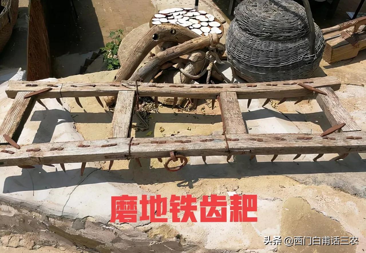 才高行潔什么意思_志行高潔的近義詞_高行的意思