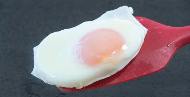 意思是誰(shuí)發(fā)現(xiàn)的_egg是什么意思_意思是的英文