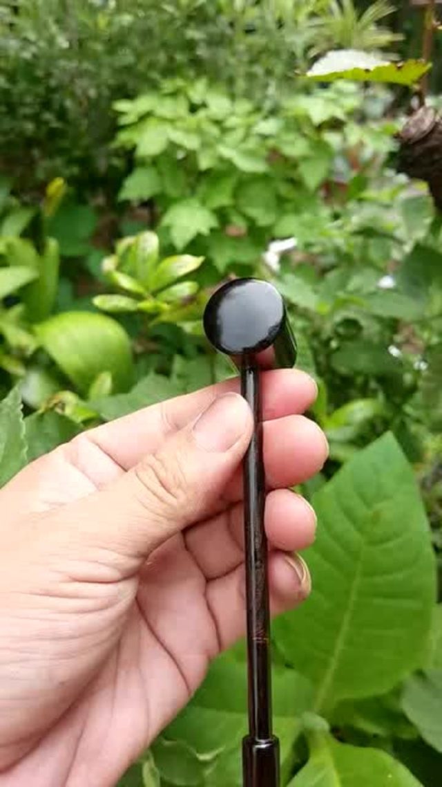 _發音英語詞典_單詞發音是什么意思