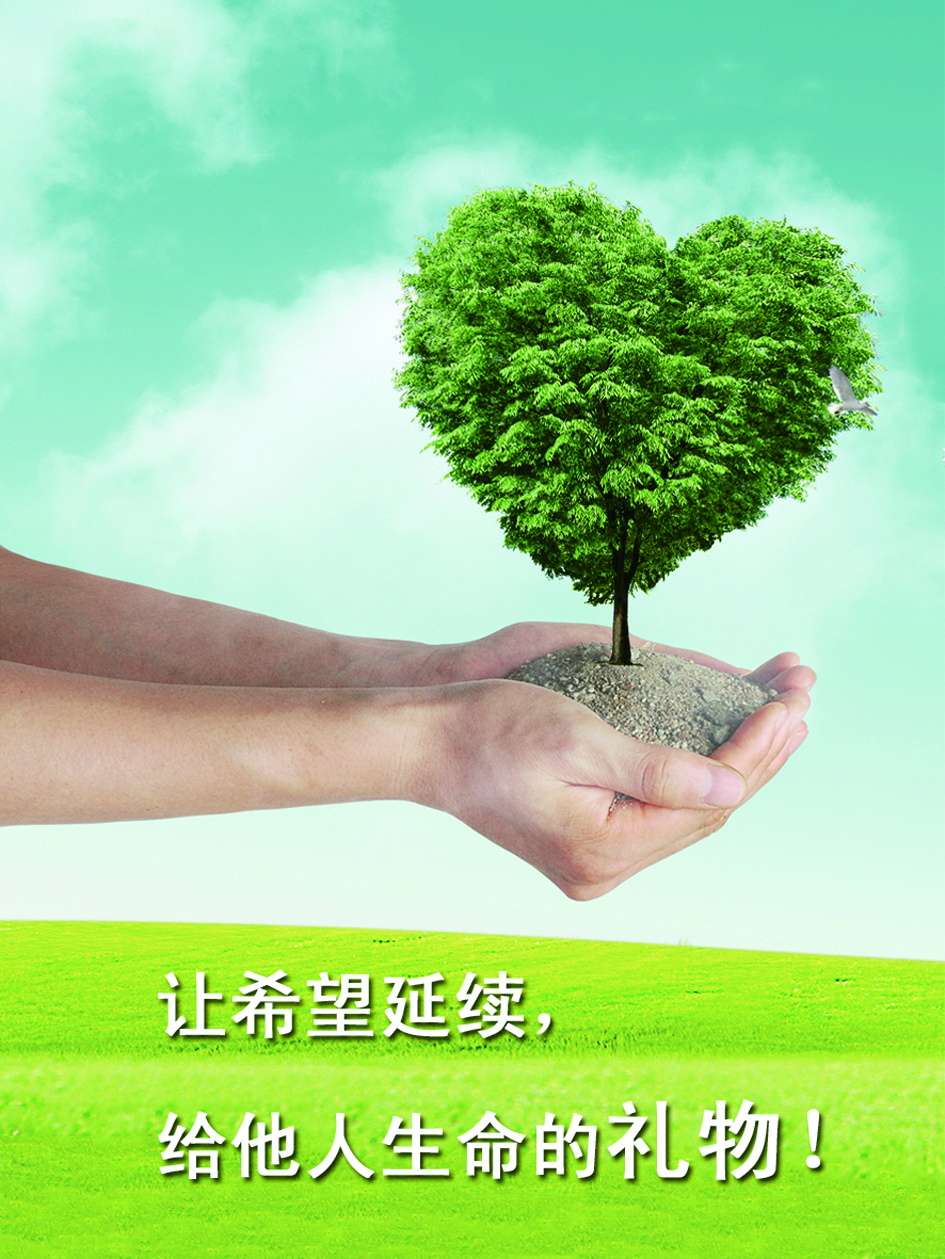 money什么意思_money什么意思_意思monkey