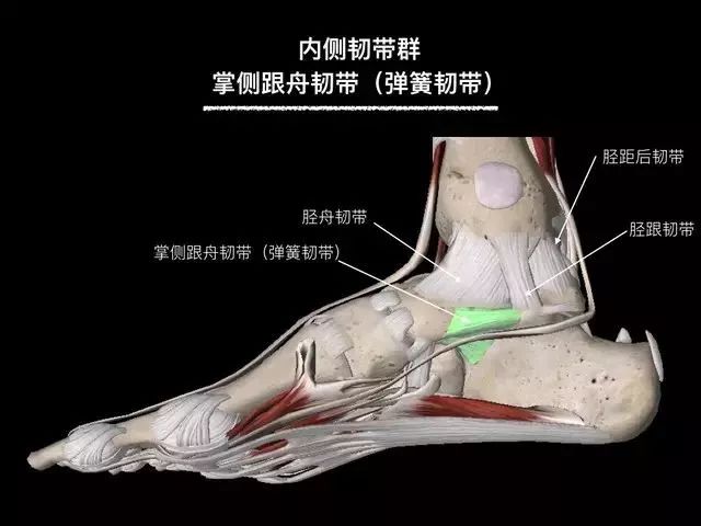 百科的英文單詞_百科詞典的英文_