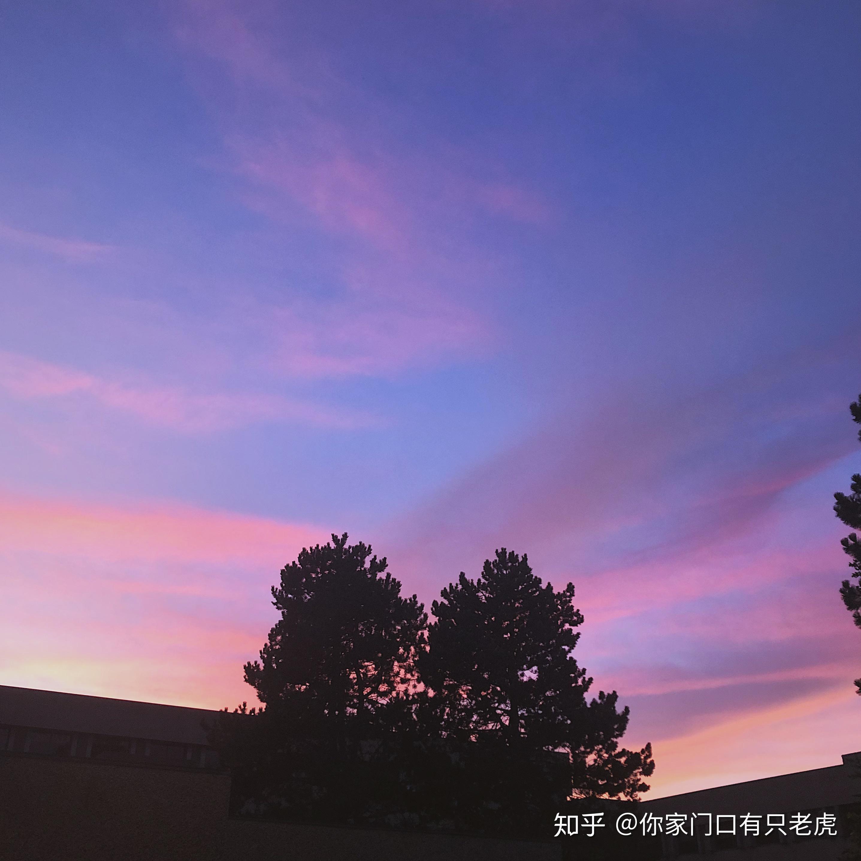 里賈納大學畢業率_里賈納大學獎學金_里賈納大學