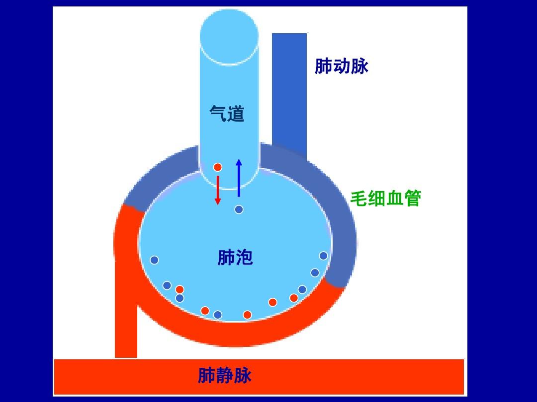 _英語發音是ow的單詞_u的單詞發音單詞總結
